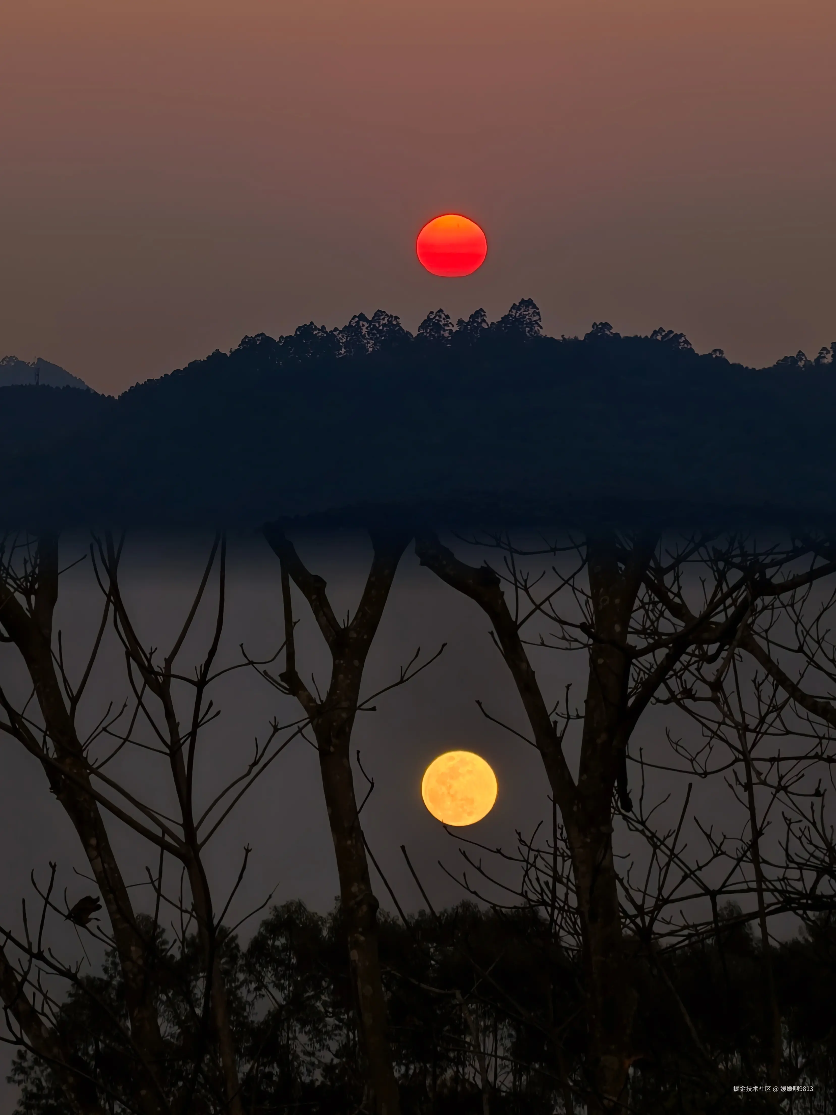 媛媛啊9813于2026-02-09 20:51发布的图片