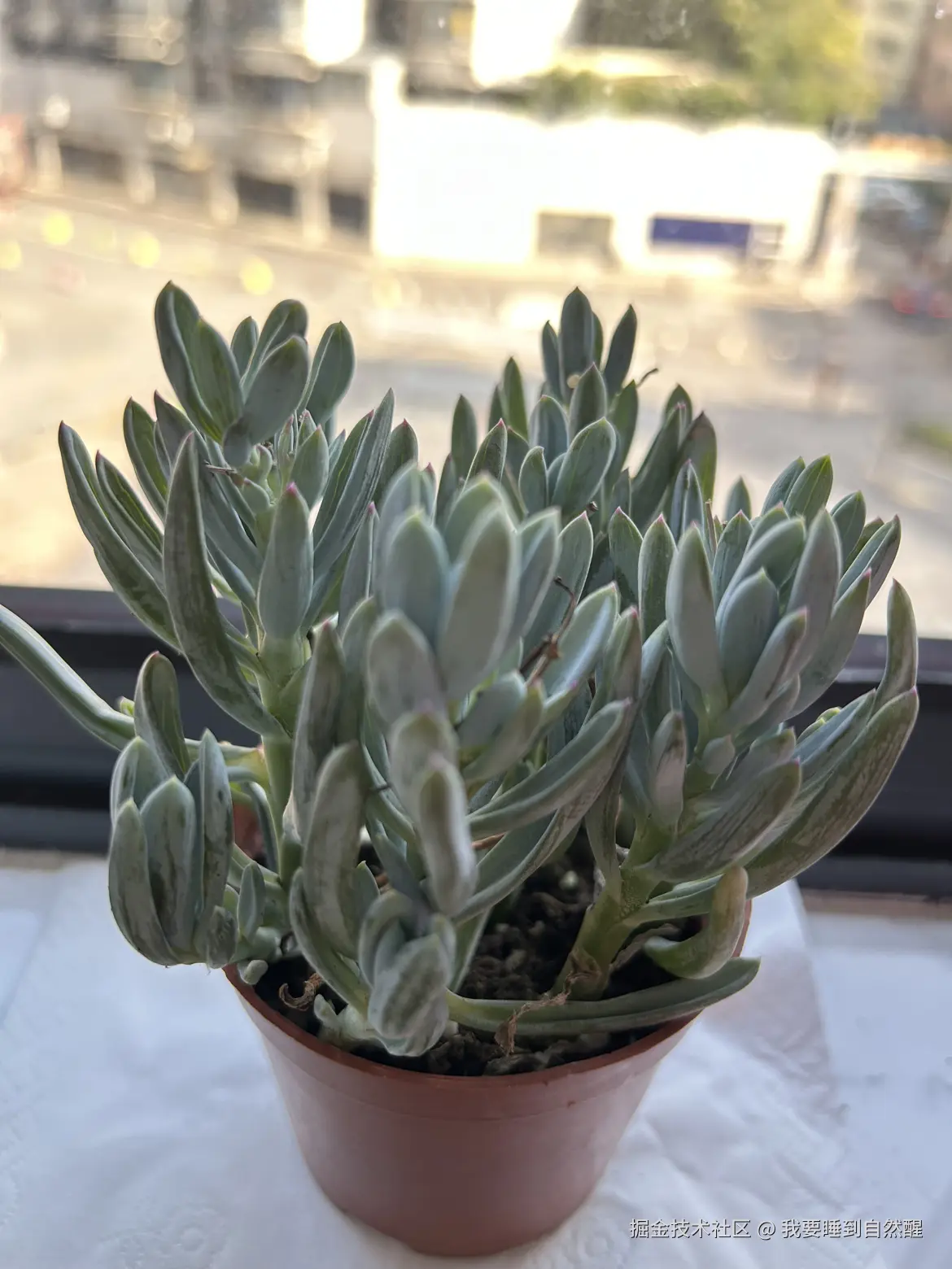 我要睡到自然醒于2026-03-09 11:36发布的图片