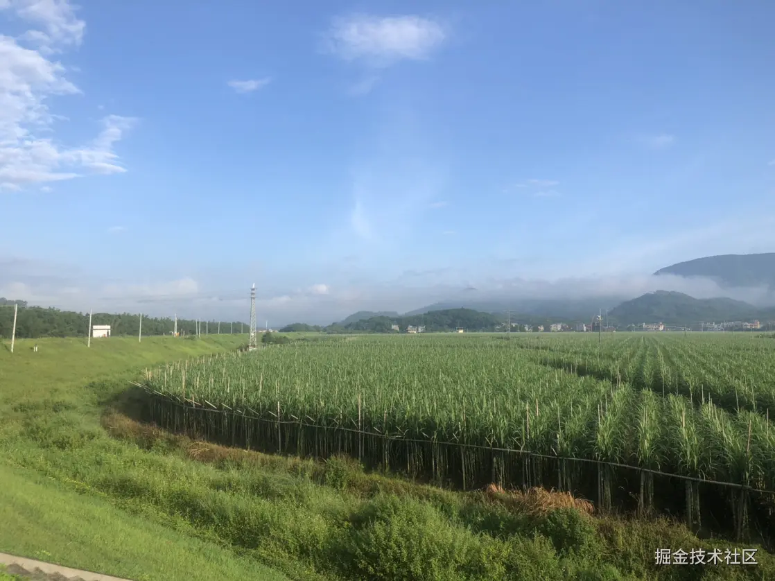 于2024-09-19 16:42发布的图片