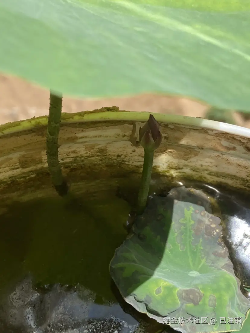 已注销于2025-06-15 13:20发布的图片