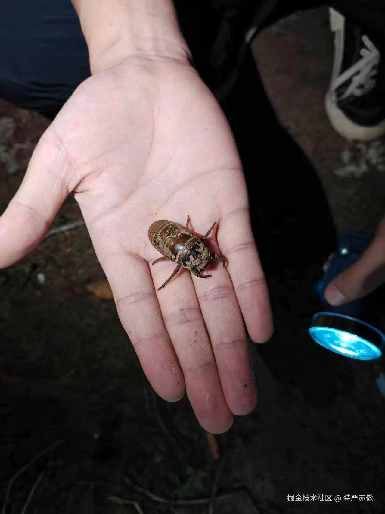 特严赤傲于2025-06-26 21:33发布的图片