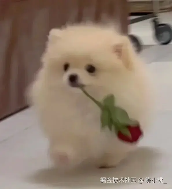 陈小桃_于2025-12-25 13:28发布的图片