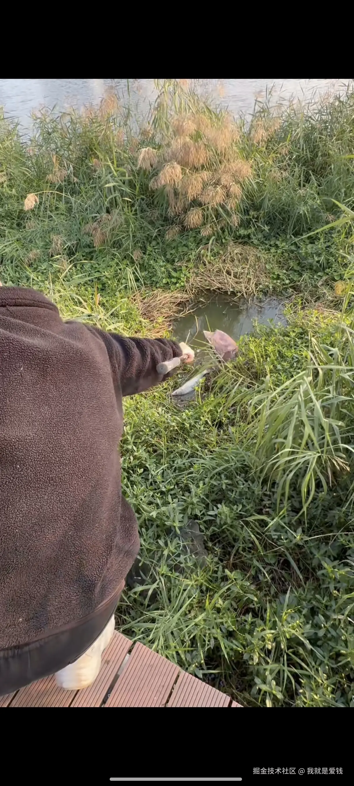 我就是爱钱于2025-11-01 14:14发布的图片