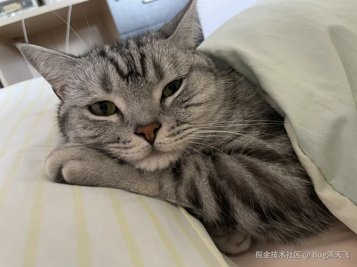 Bug满天飞于2024-10-09 16:13发布的图片