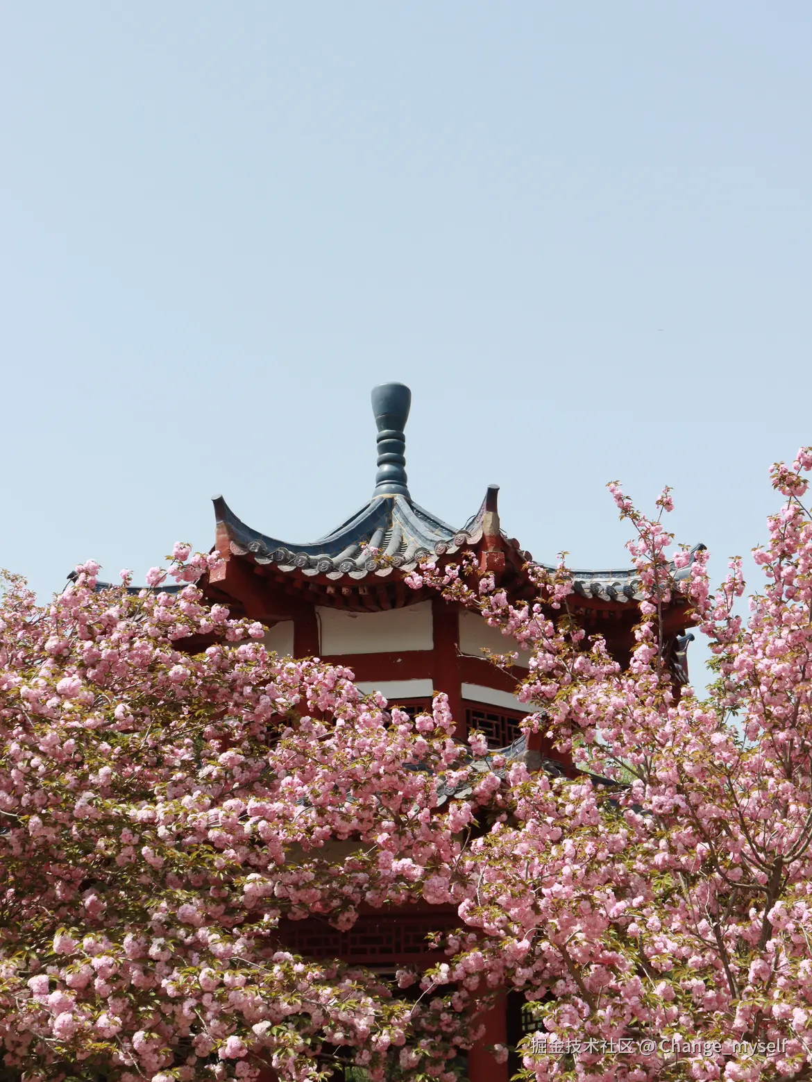 Change_myself于2025-04-07 06:42发布的图片