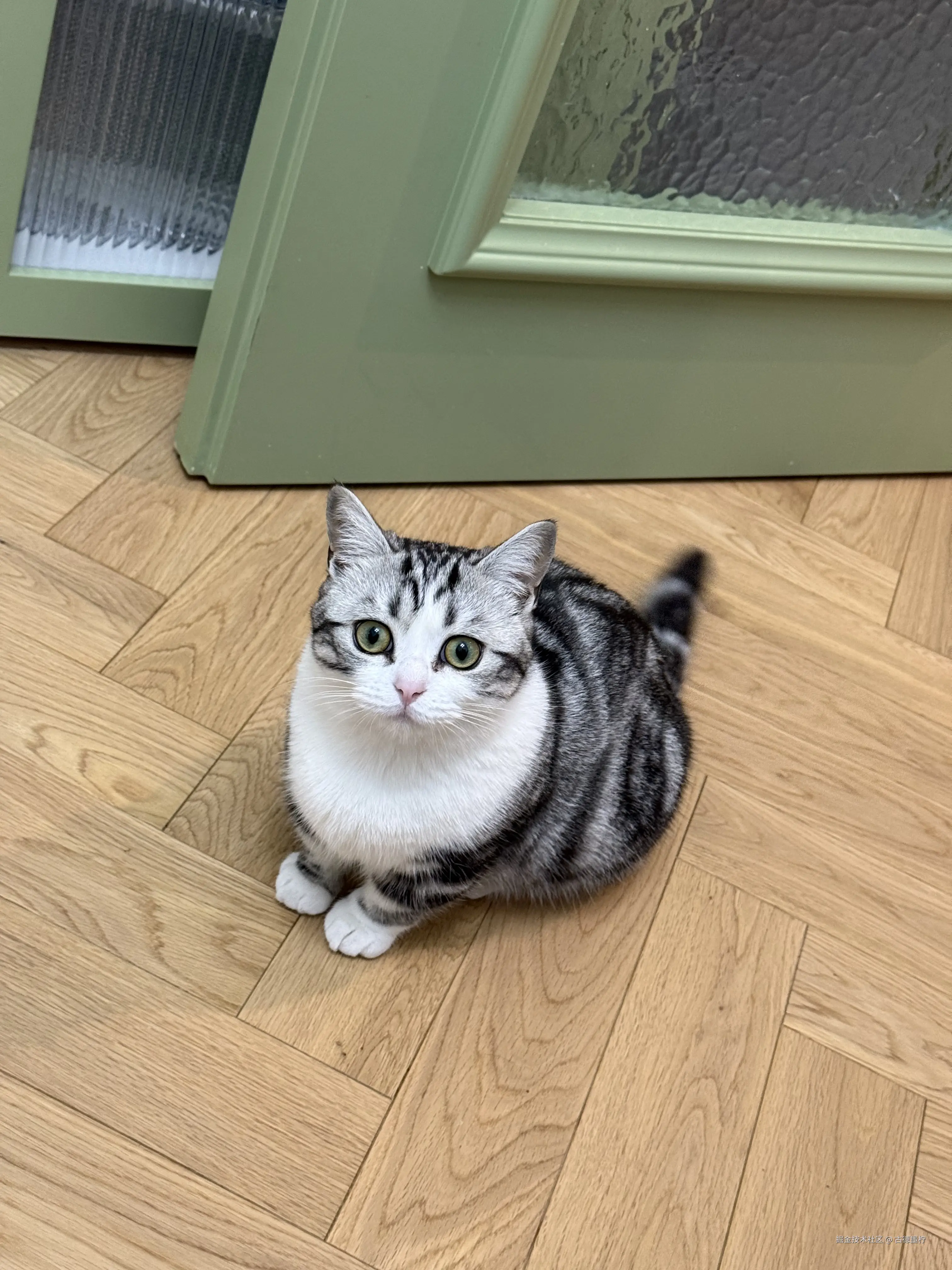 古德墨柠于2026-03-23 14:29发布的图片