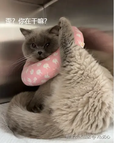 Xb无心于2025-03-03 10:52发布的图片