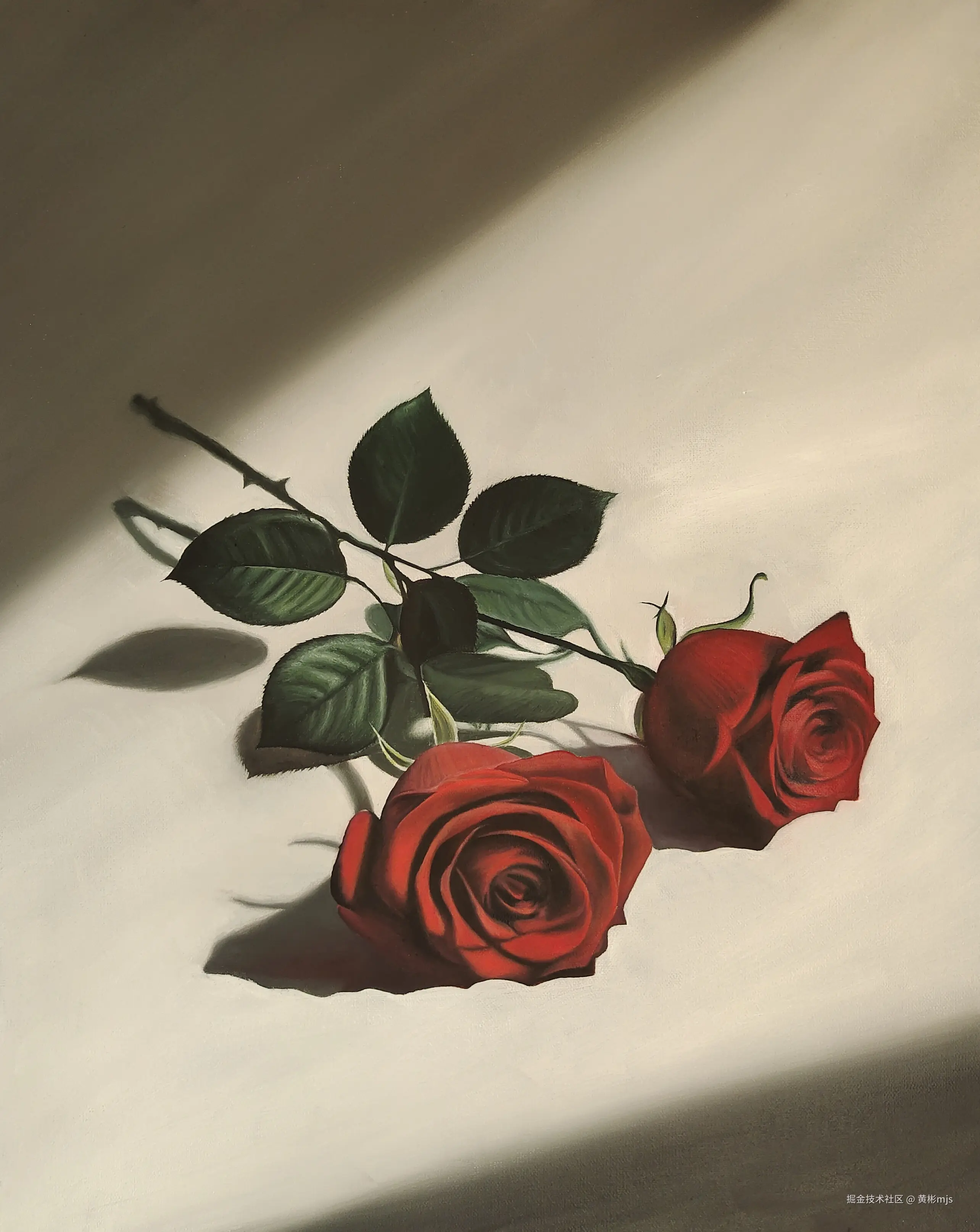 黄彬mjs于2024-12-20 08:35发布的图片