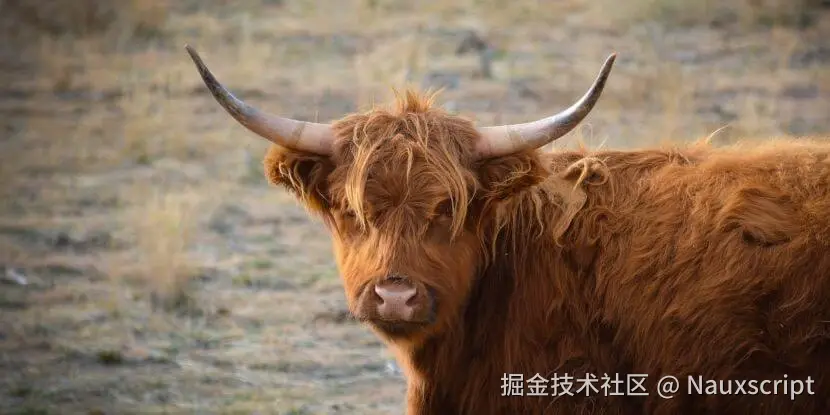 Yak shaving