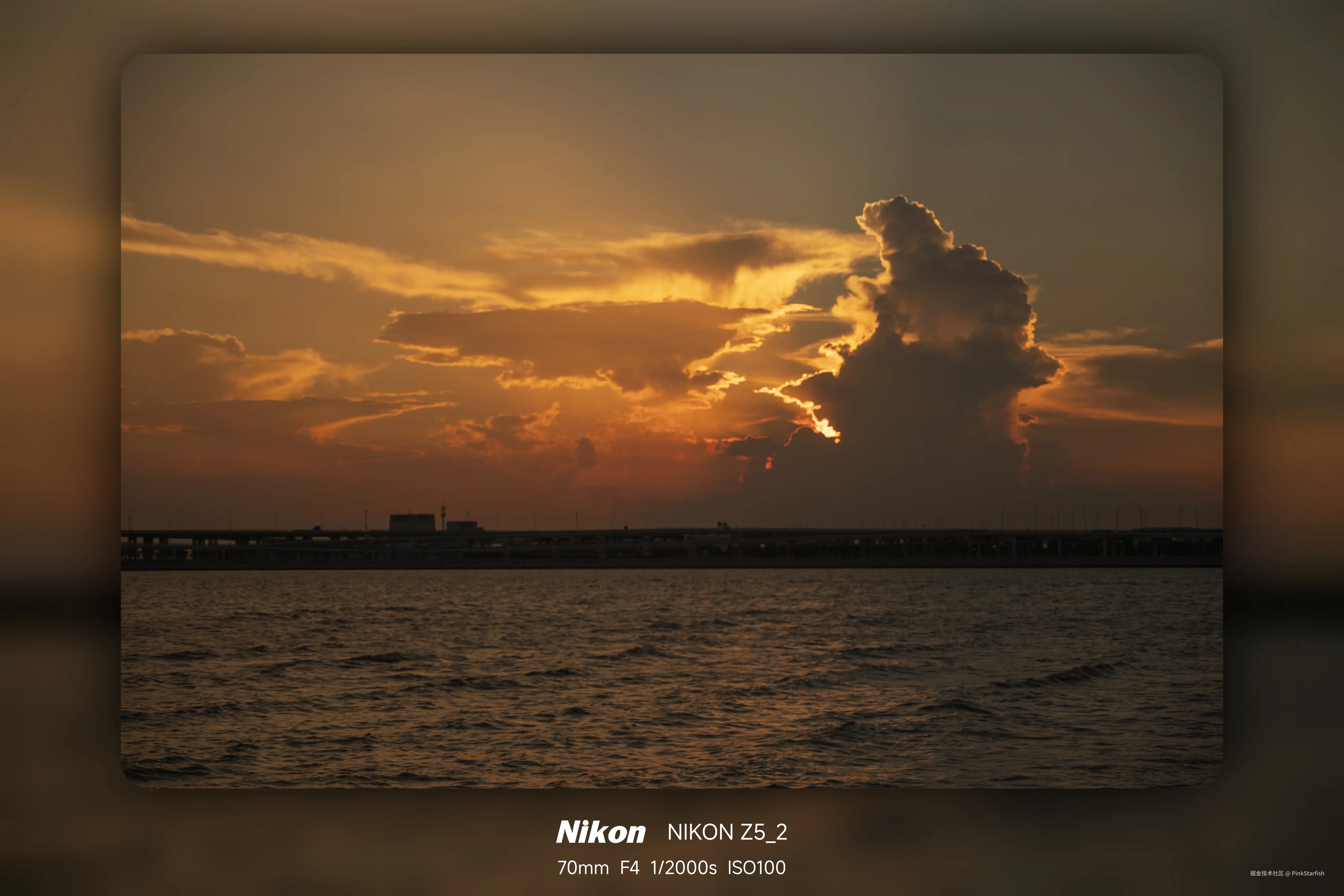 PinkStarfish于2025-06-10 10:49发布的图片