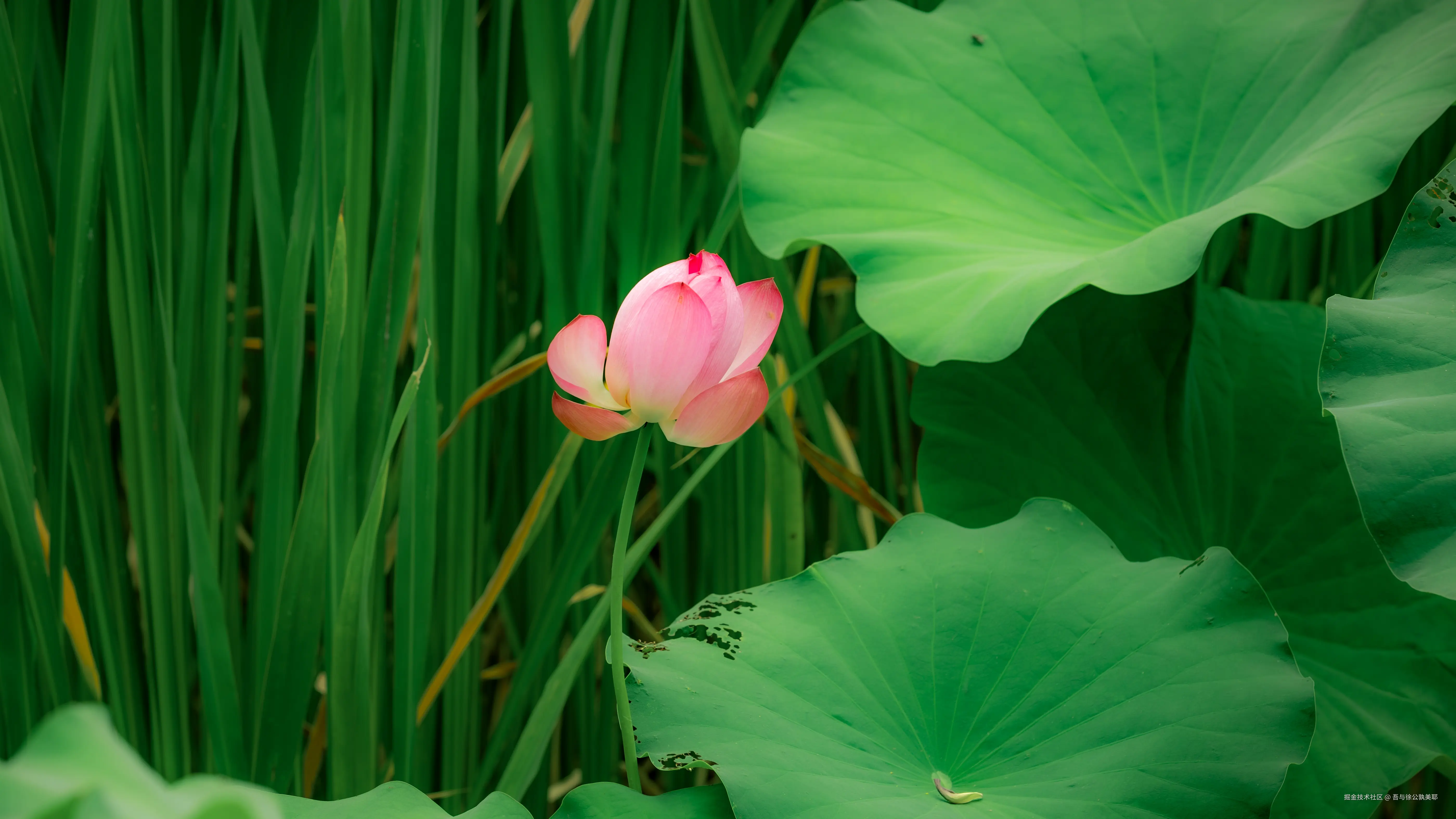 吾与徐公孰美耶于2025-06-27 09:58发布的图片