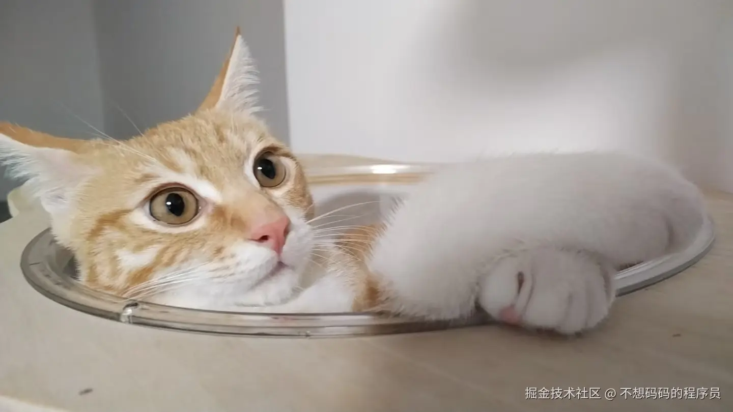 不想码码的程序员于2025-08-12 14:23发布的图片