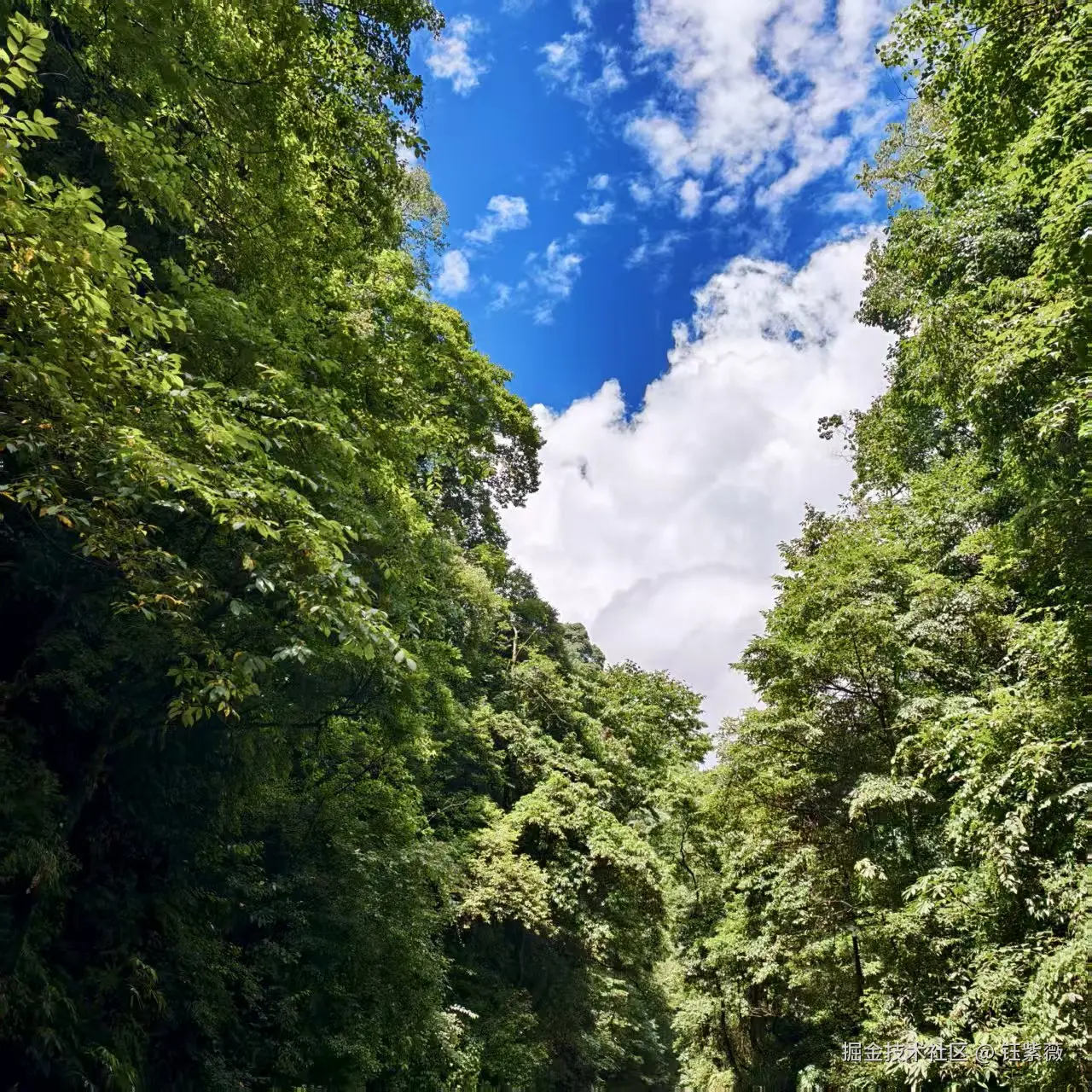 钰紫薇于2025-07-28 09:17发布的图片