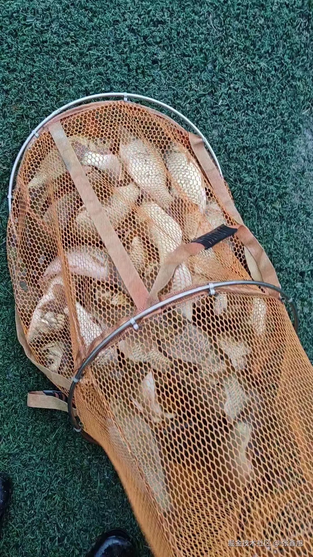 张鑫旭于2025-06-06 10:22发布的图片