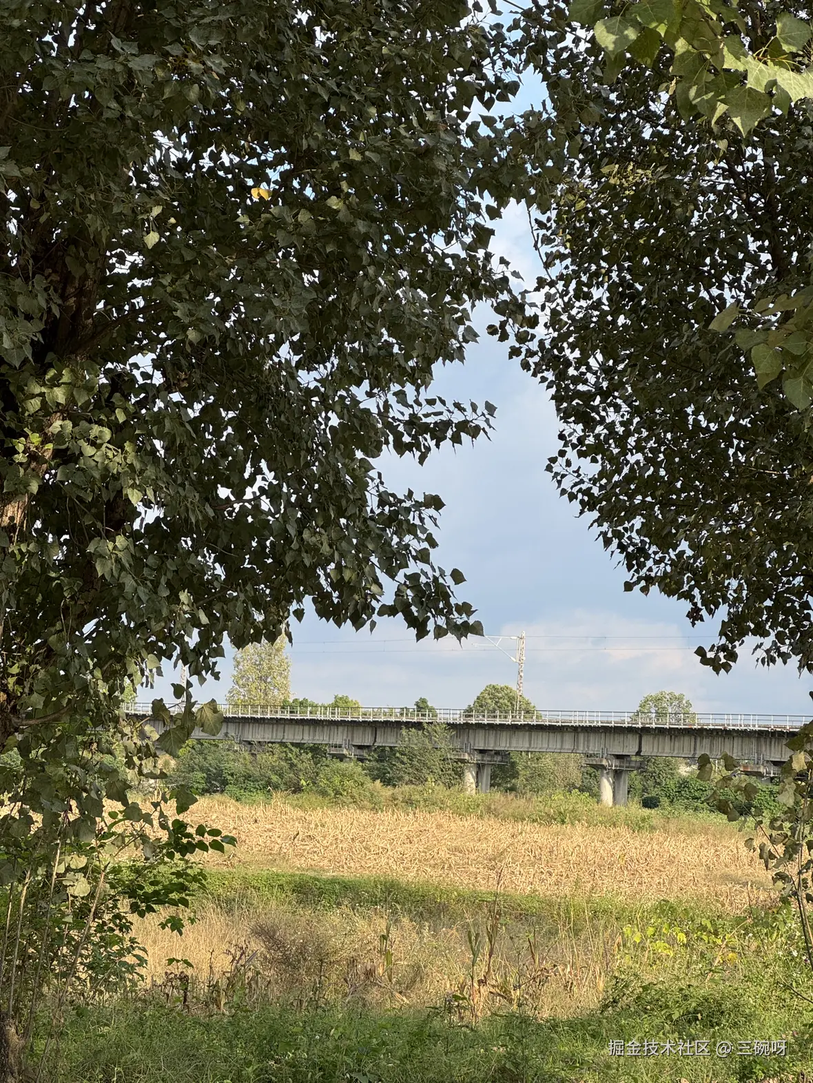 三碗呀于2025-10-30 08:26发布的图片