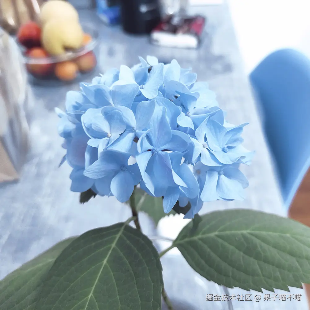 果子喵不喵于2025-04-15 11:34发布的图片