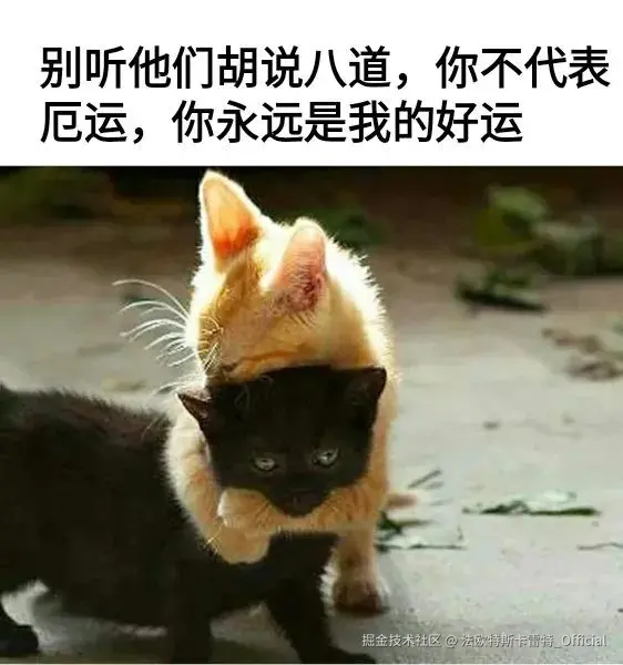 法欧特斯卡雷特_Official于2025-08-11 10:34发布的图片