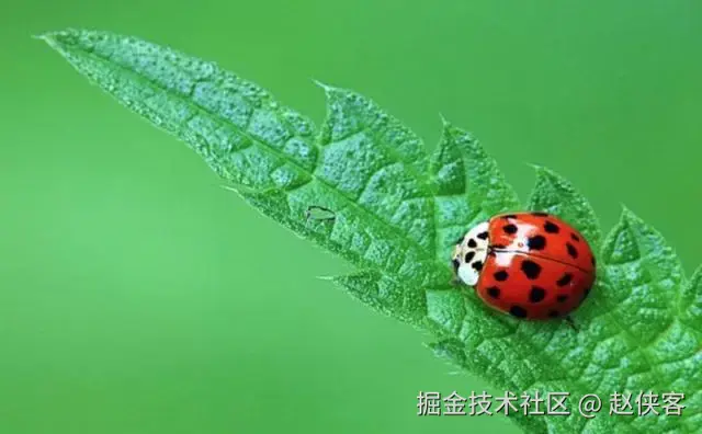 疑难杂症BUG