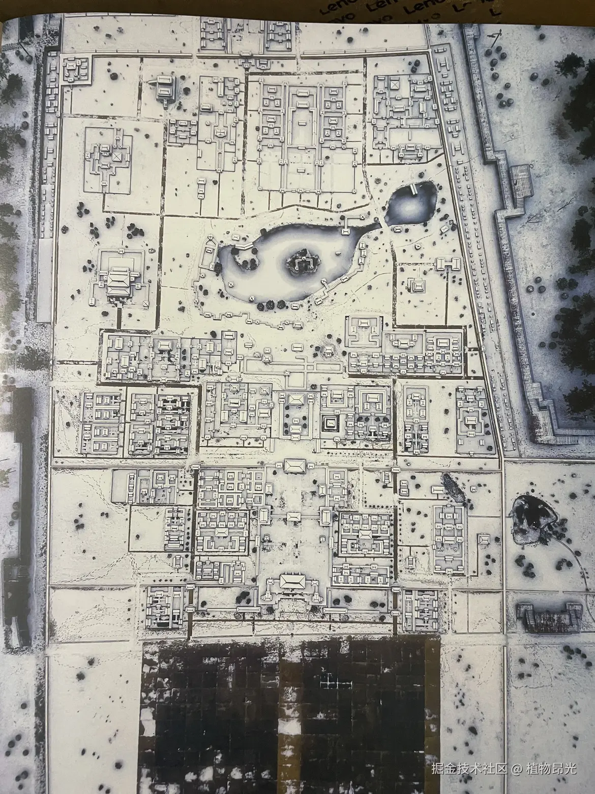 植物昂光于2026-03-30 21:11发布的图片