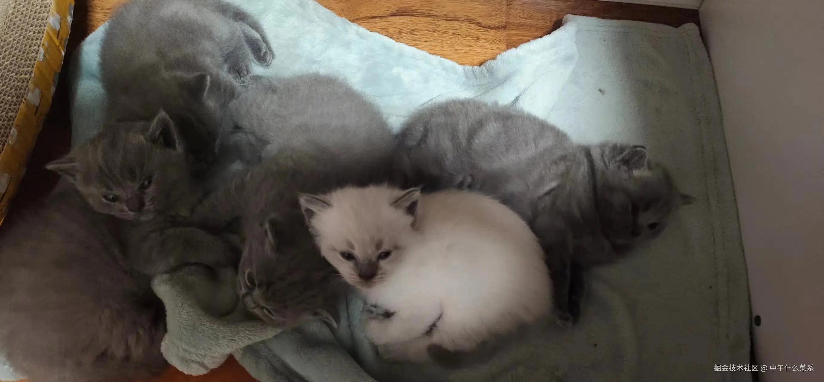 中午什么菜系于2024-07-29 10:01发布的图片