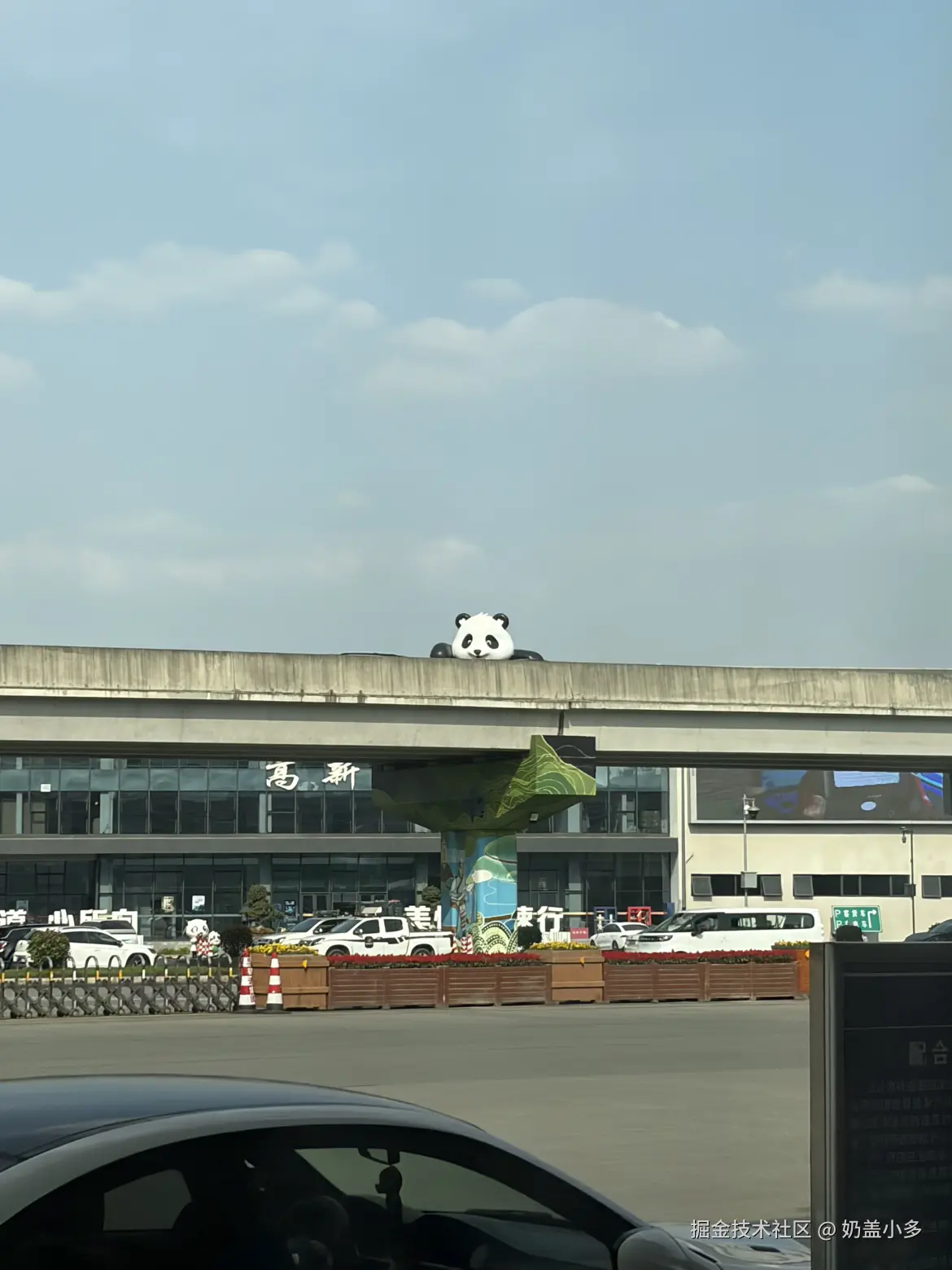 奶盖小多于2026-04-20 17:44发布的图片