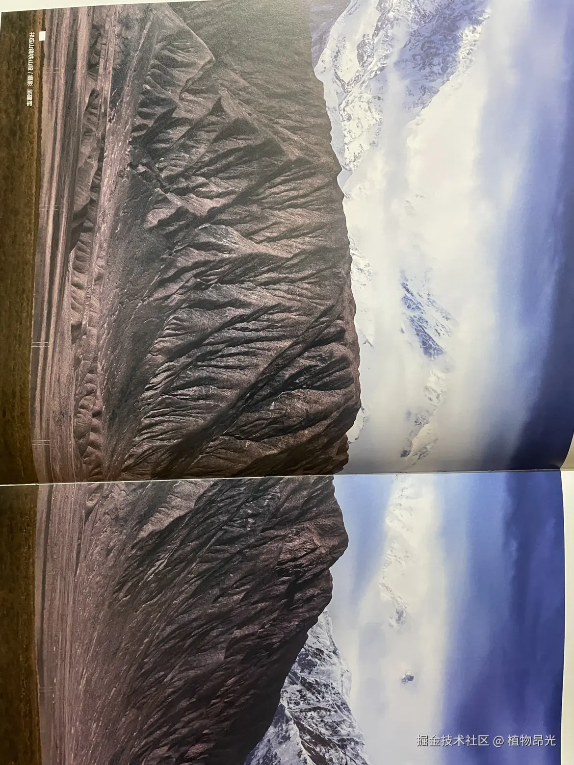 植物昂光于2026-03-23 20:07发布的图片