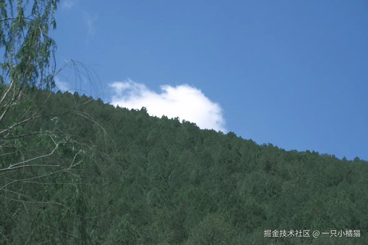 一只小橘猫于2025-05-12 04:13发布的图片