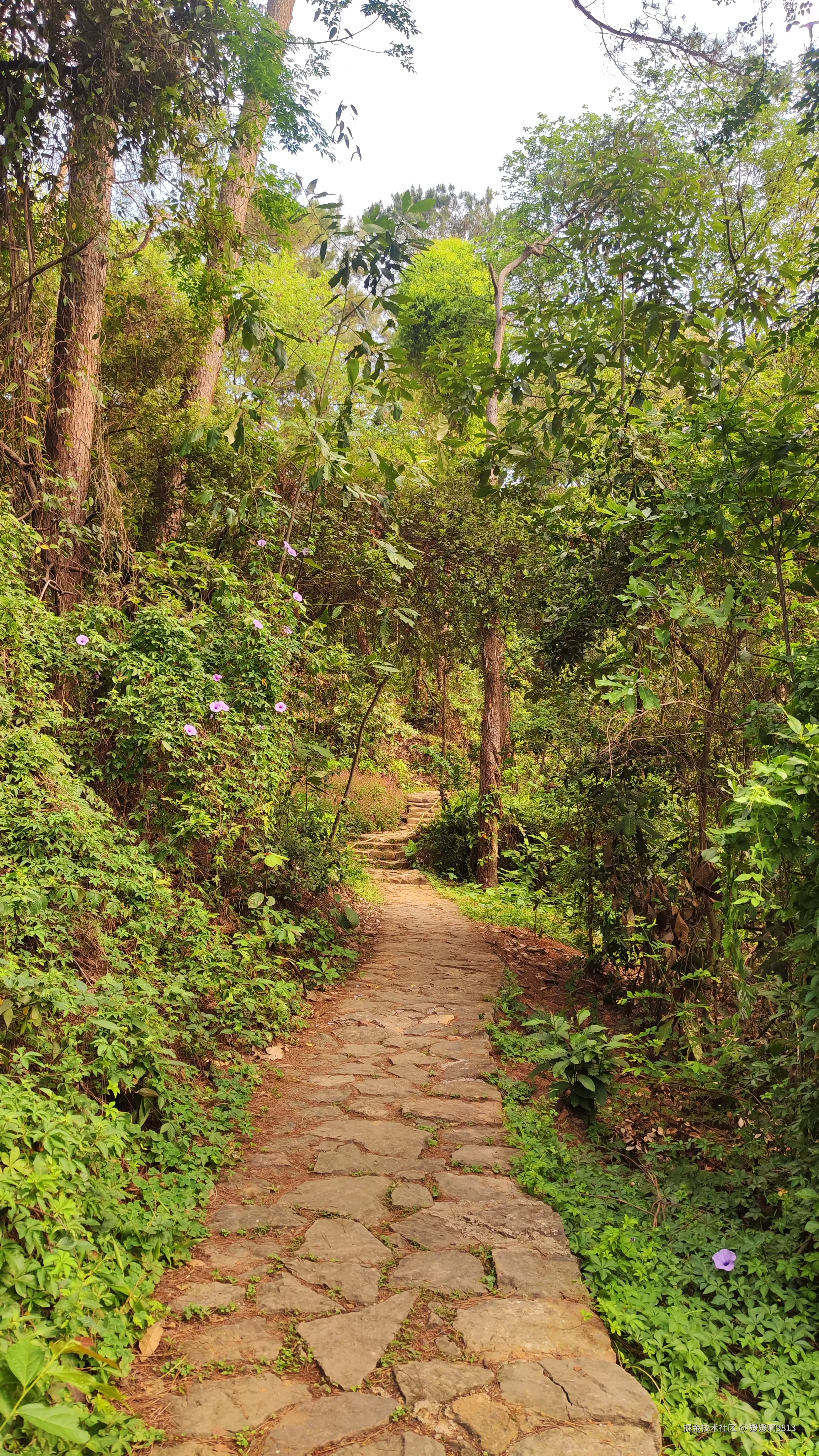 媛媛啊9813于2025-05-09 09:45发布的图片