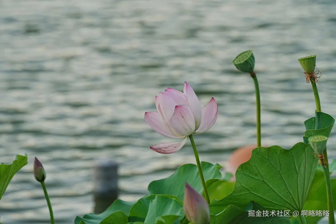 啊略略略于2025-07-07 08:37发布的图片