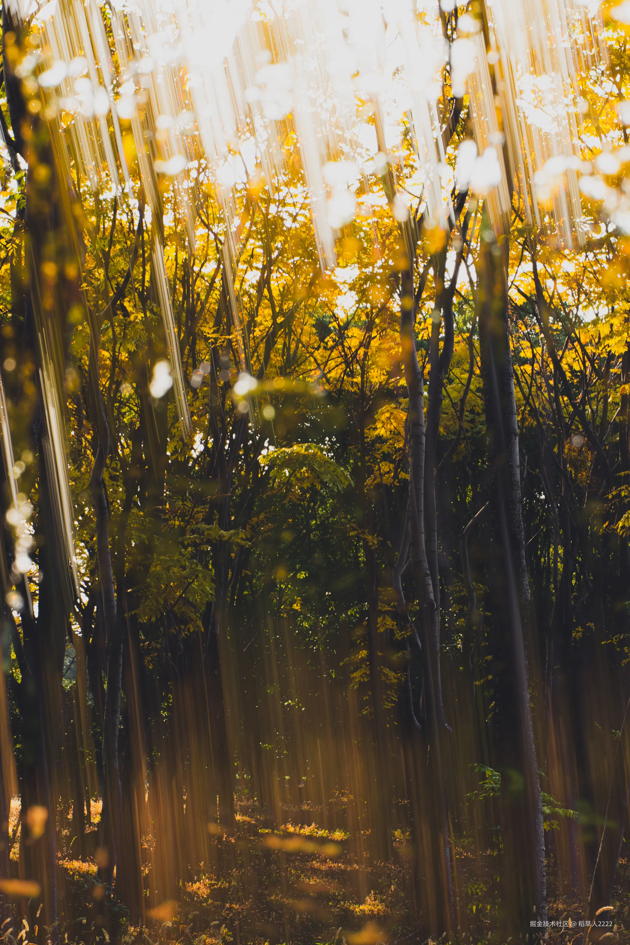 稻草人2222于2025-12-01 02:30发布的图片