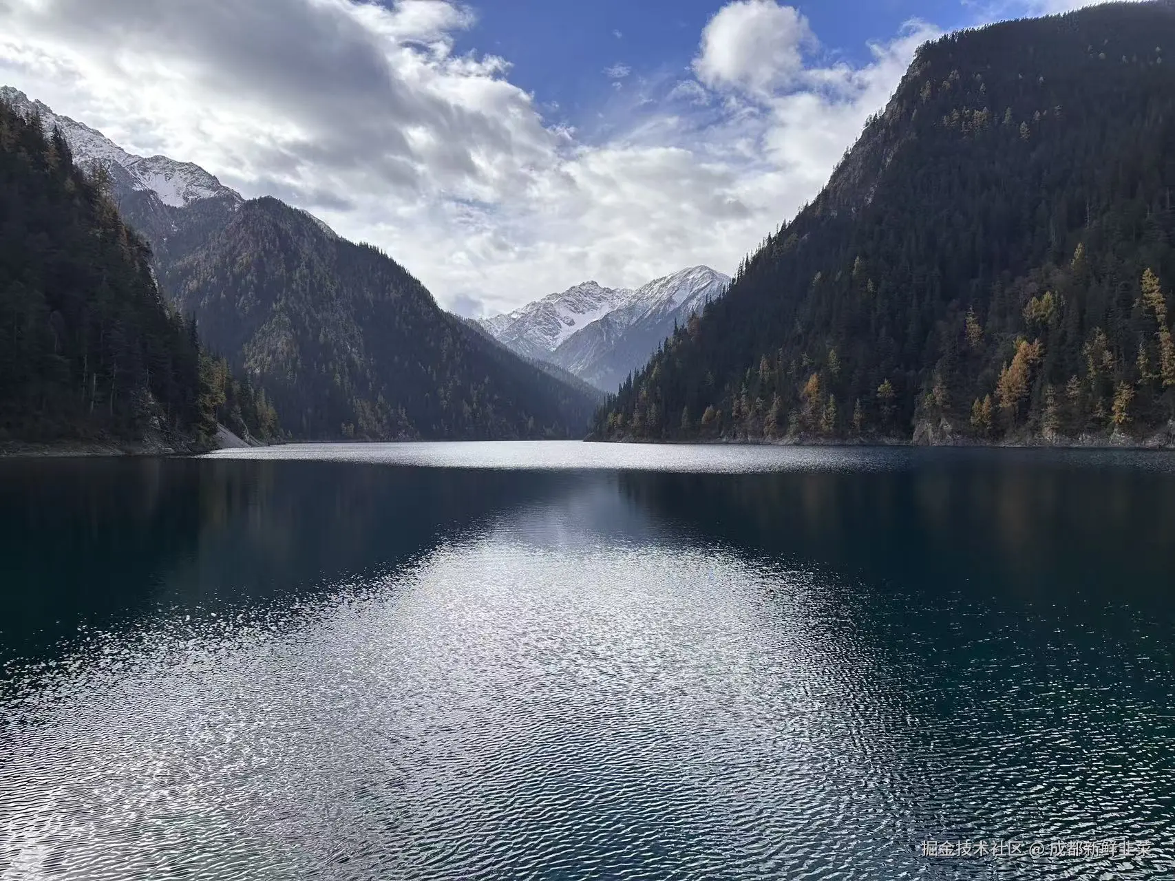 成都新鲜韭菜于2025-11-03 10:42发布的图片