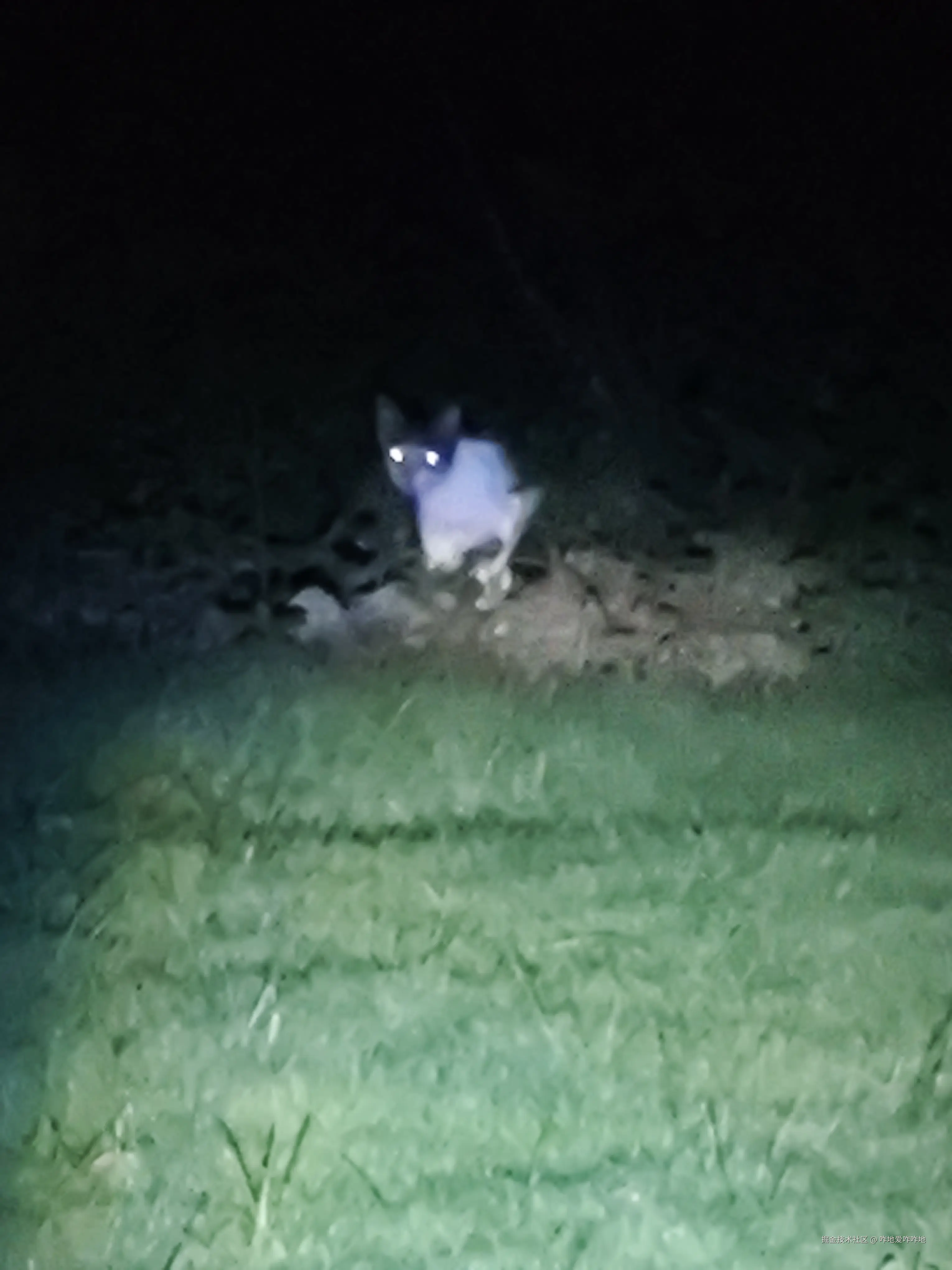 咋地爱咋咋地于2024-07-17 09:33发布的图片