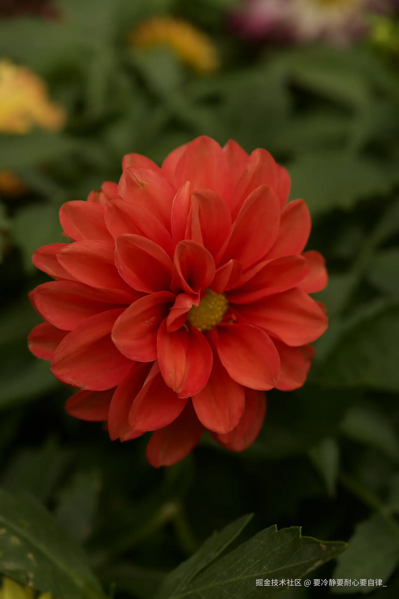 要冷静要耐心要自律_于2025-03-12 16:46发布的图片