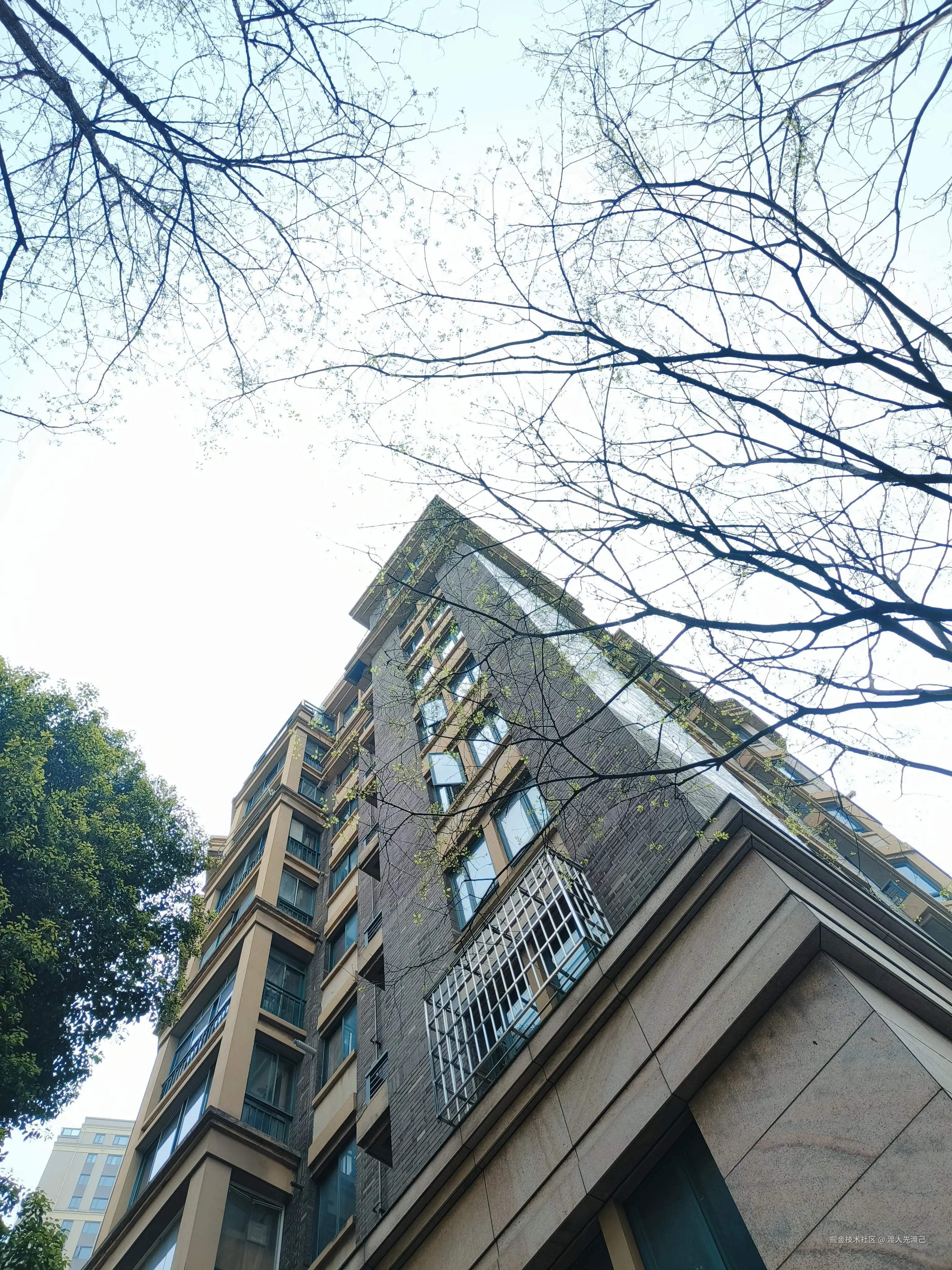 渡人先渡己于2026-04-17 15:01发布的图片