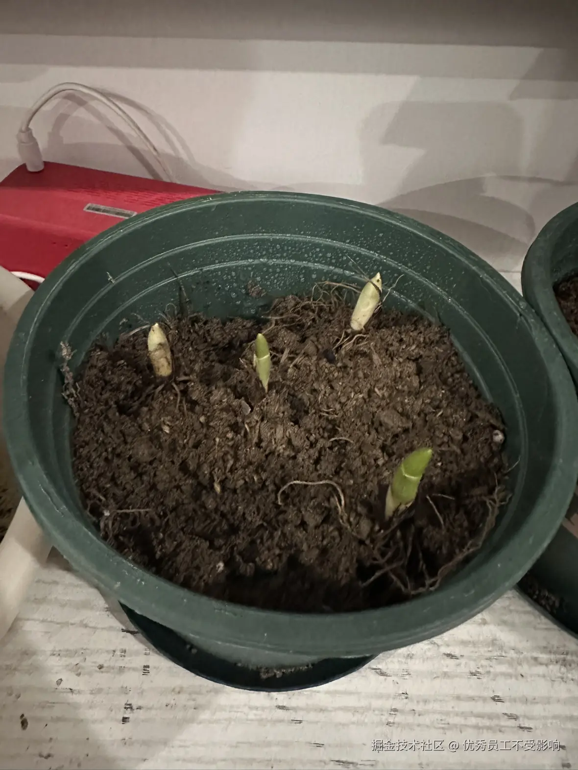 优秀员工不受影响于2025-11-07 12:30发布的图片