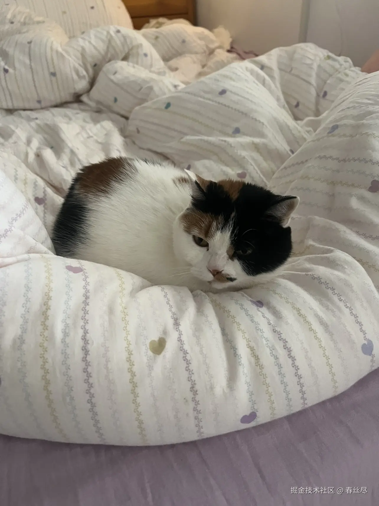 春丝尽于2026-03-26 17:07发布的图片