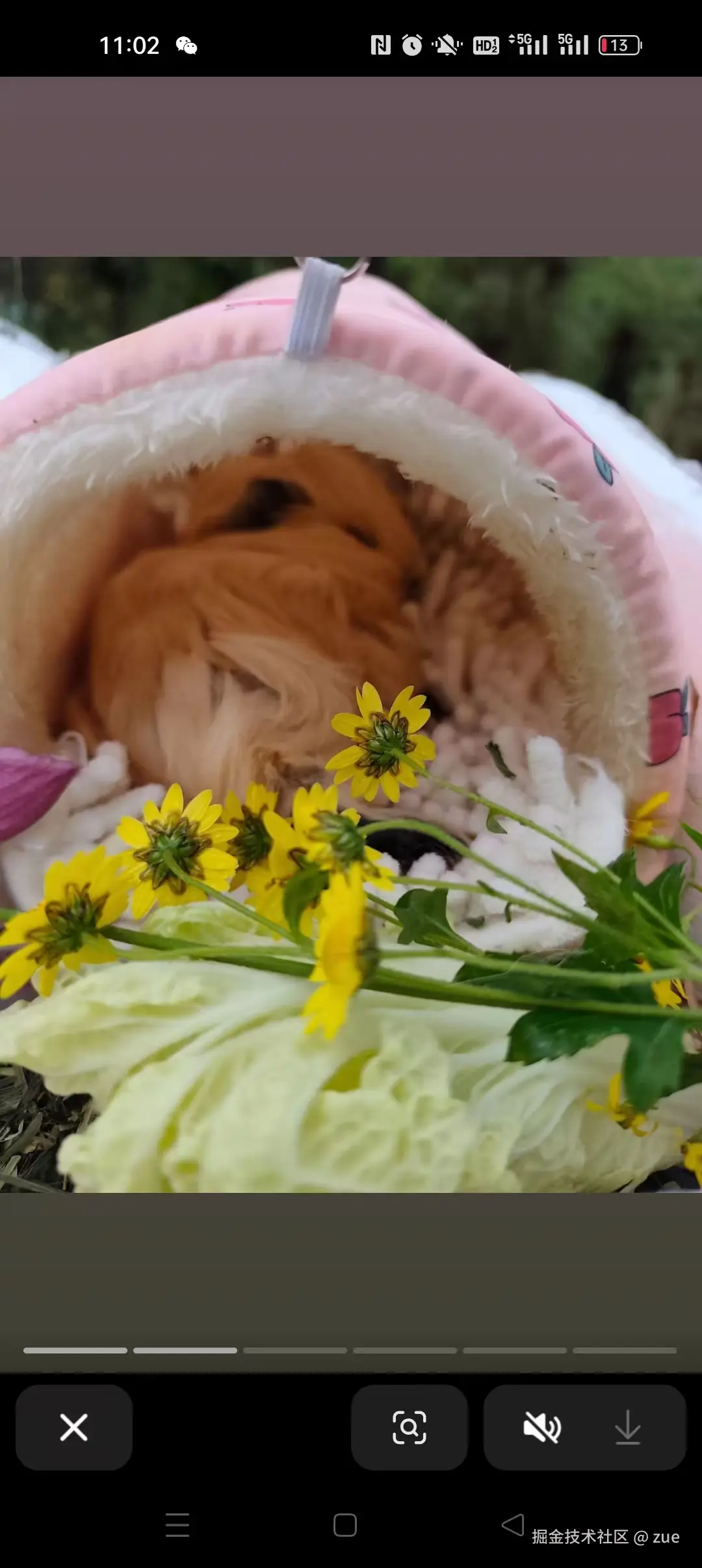 zue于2025-11-10 11:29发布的图片