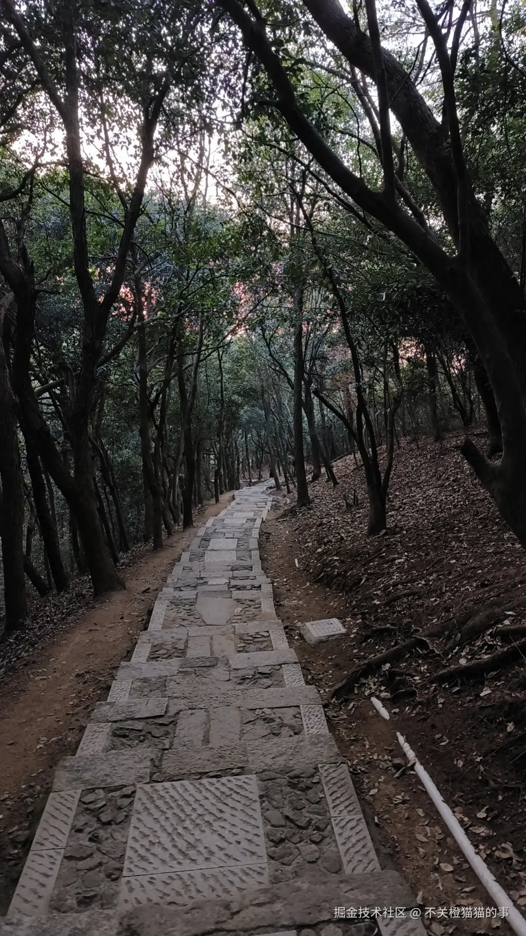 不关橙猫猫的事于2026-03-12 09:29发布的图片