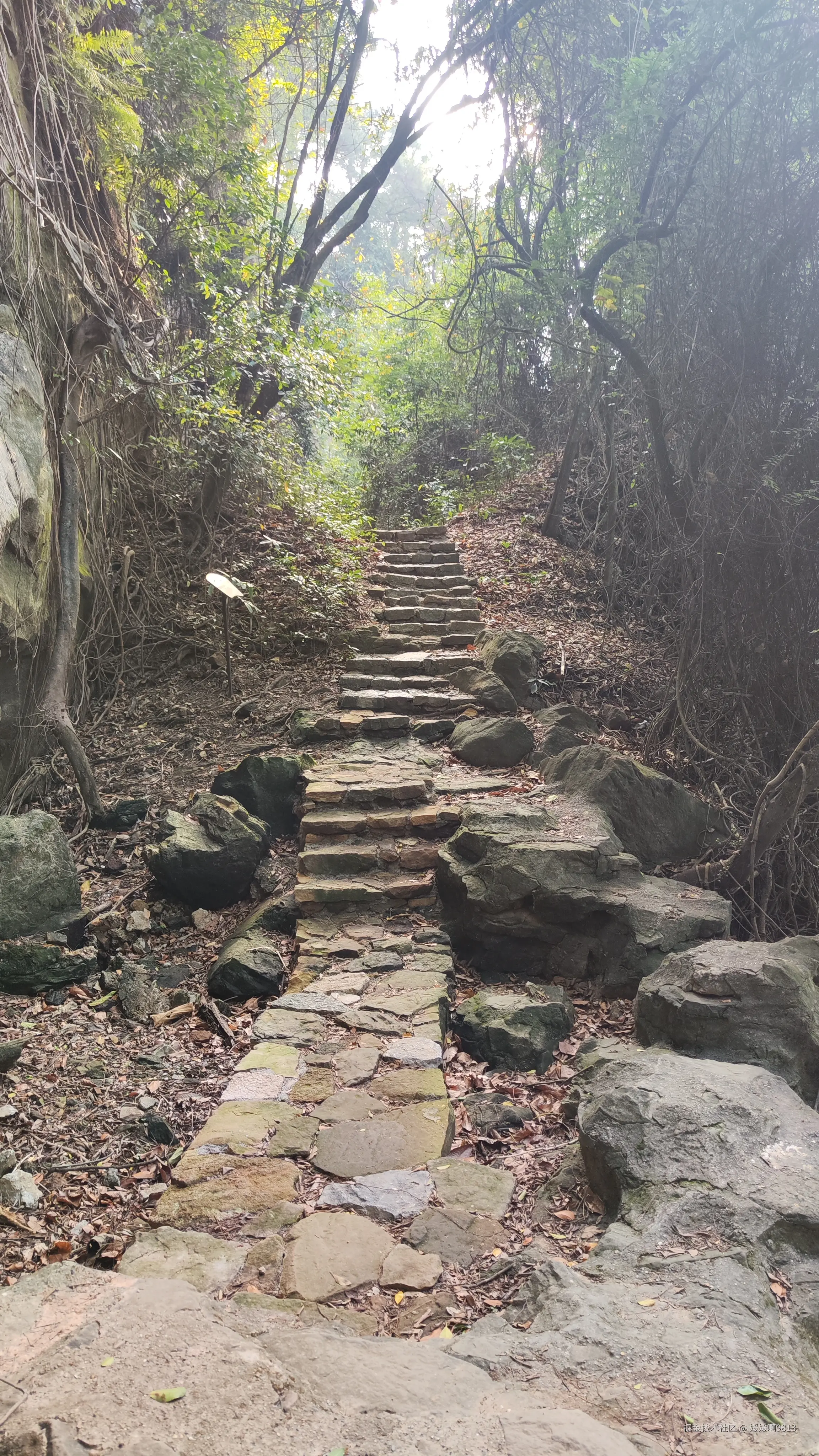 媛媛啊9813于2025-05-08 06:30发布的图片