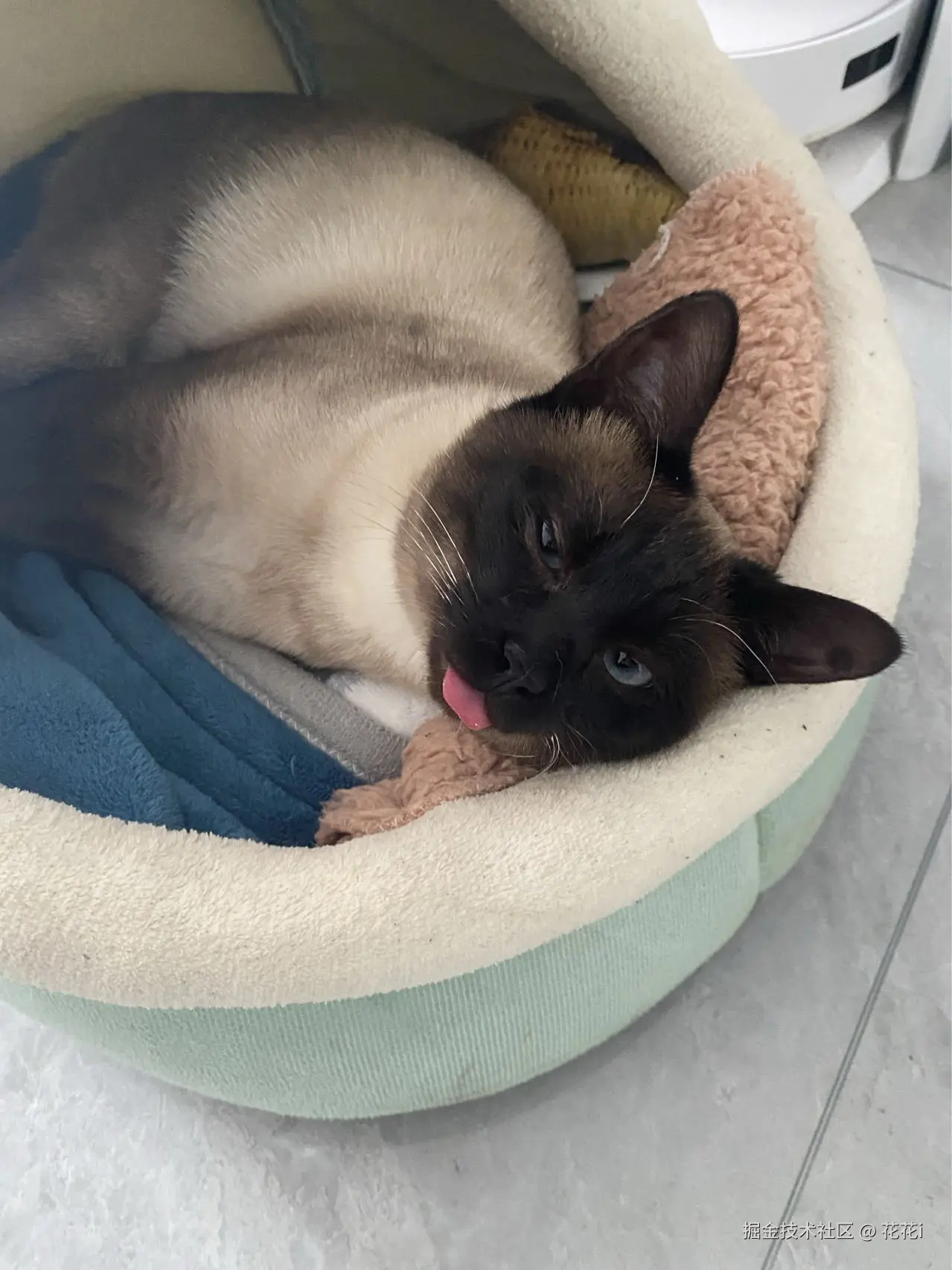 花花i于2025-01-06 15:09发布的图片