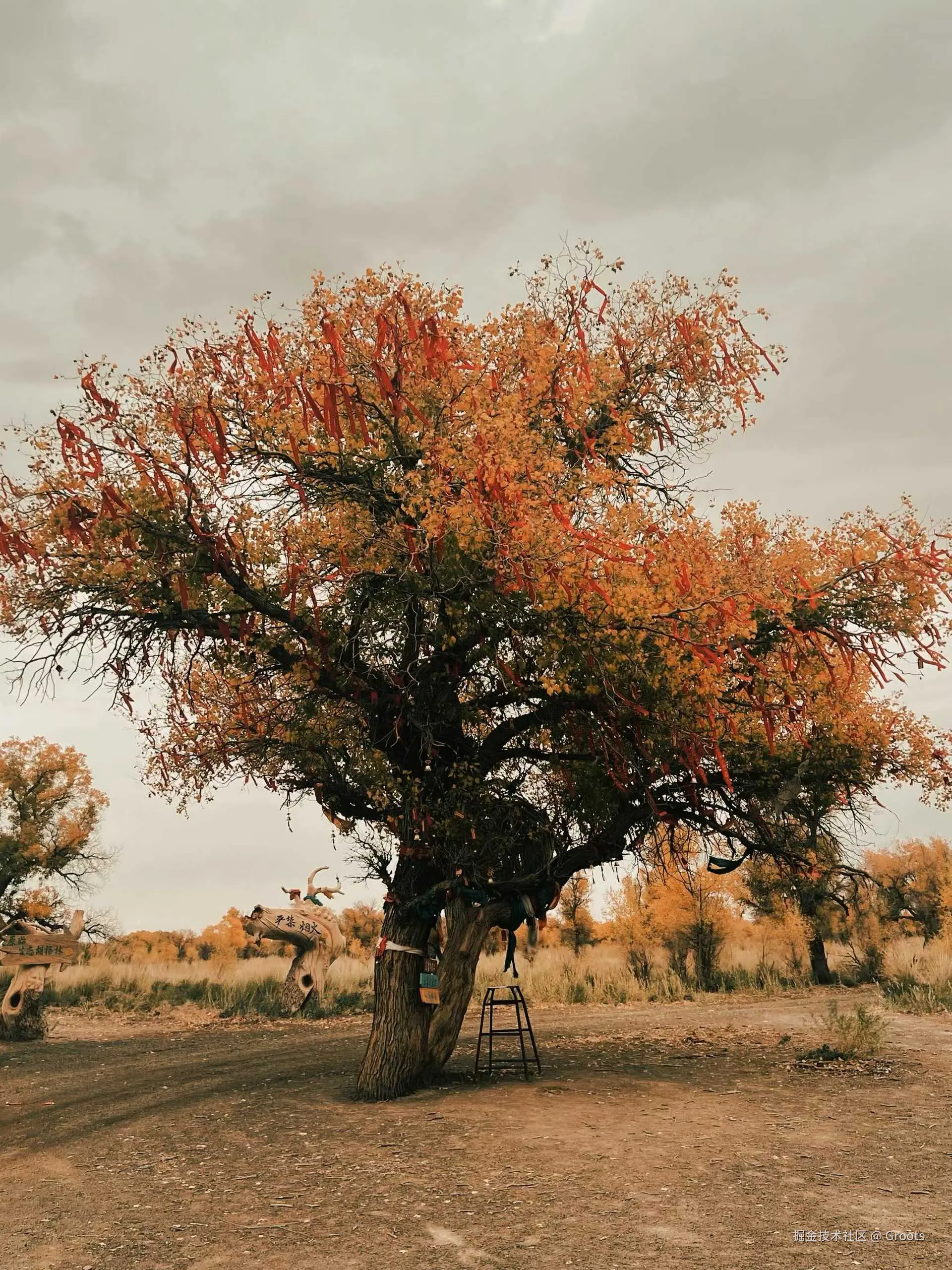 Groots于2025-09-29 09:56发布的图片