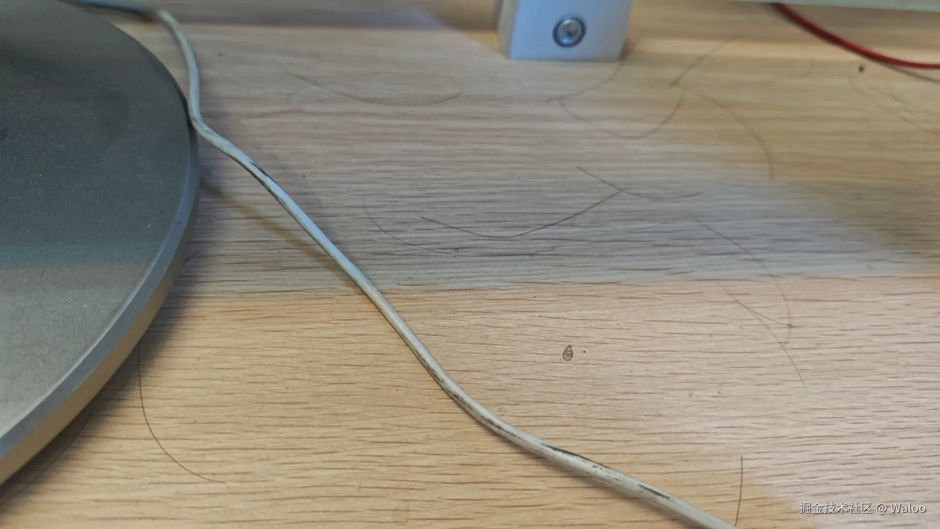 Waloo于2024-08-12 20:28发布的图片