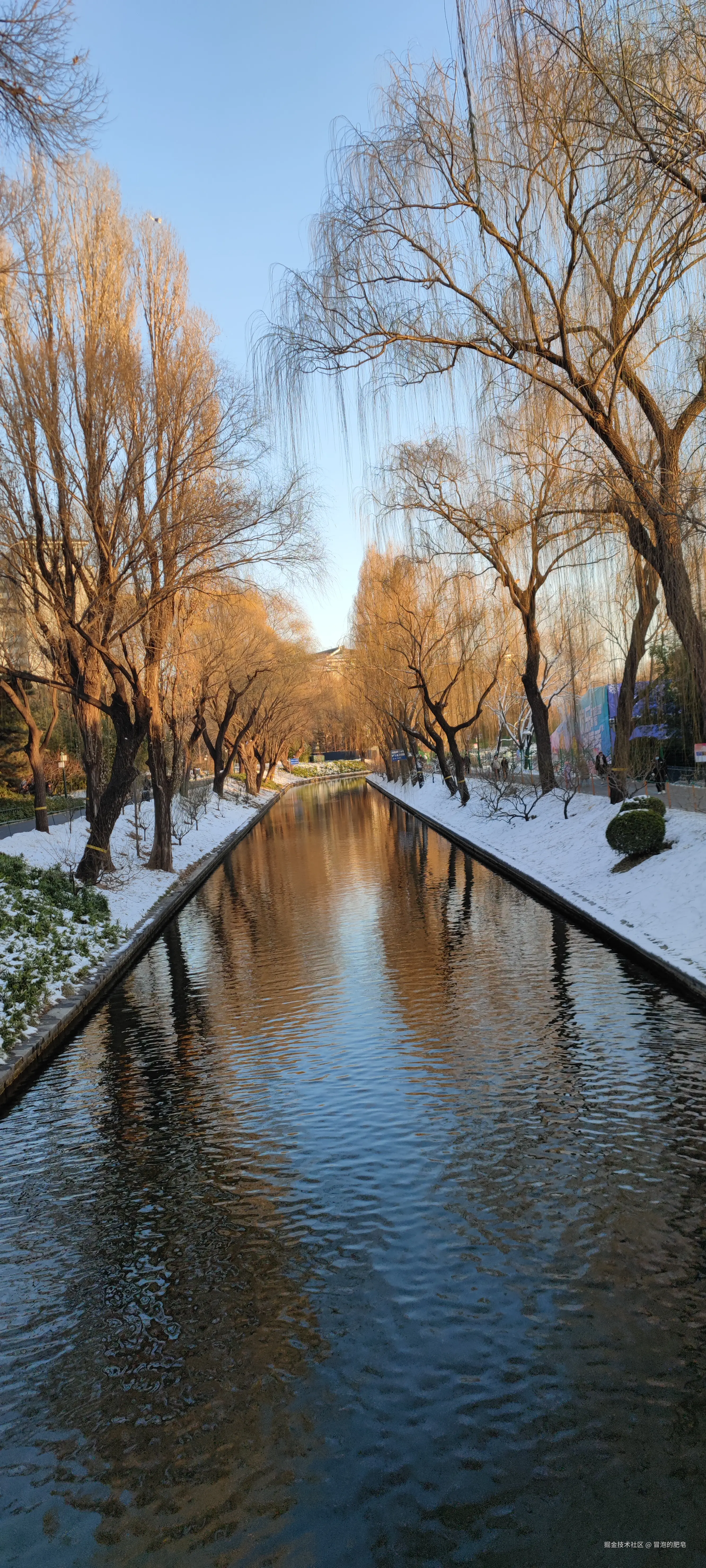 冒泡的肥皂于2024-11-24 16:42发布的图片