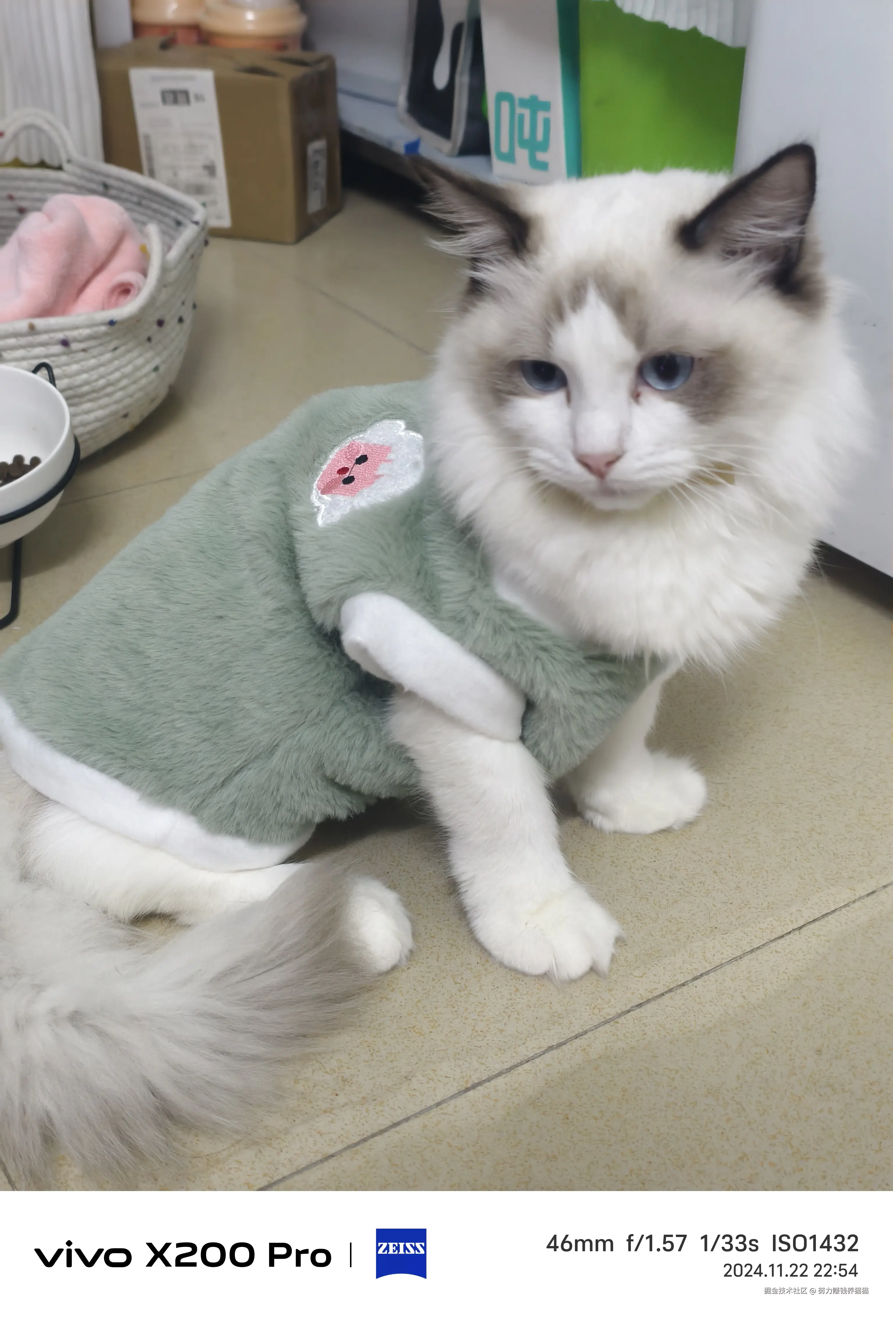 努力赚钱养猫猫于2024-11-23 10:11发布的图片