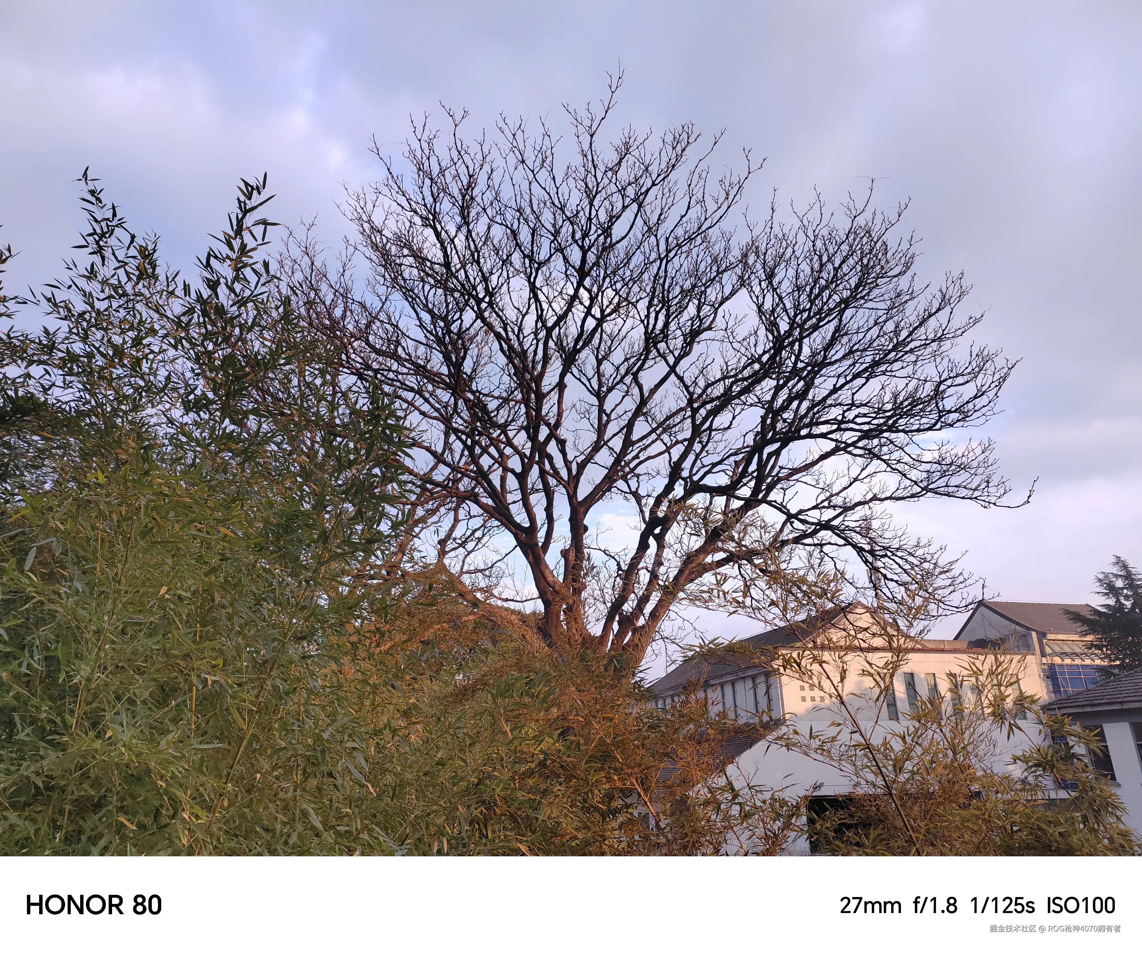 ROG枪神4070拥有者于2024-12-23 10:25发布的图片