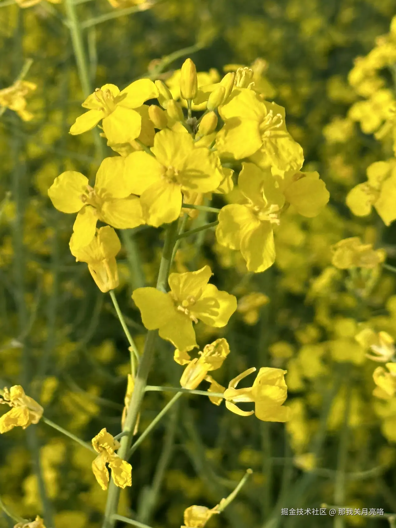 那我关月亮咯于2025-04-10 15:07发布的图片