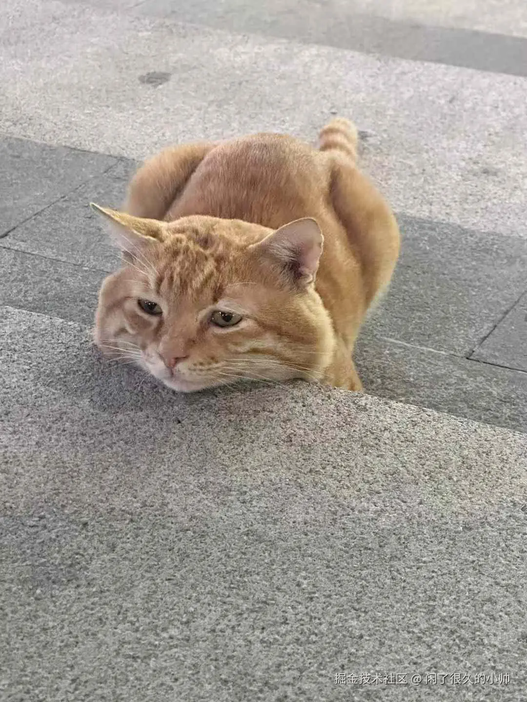 闲了很久的小帅于2024-10-25 15:32发布的图片