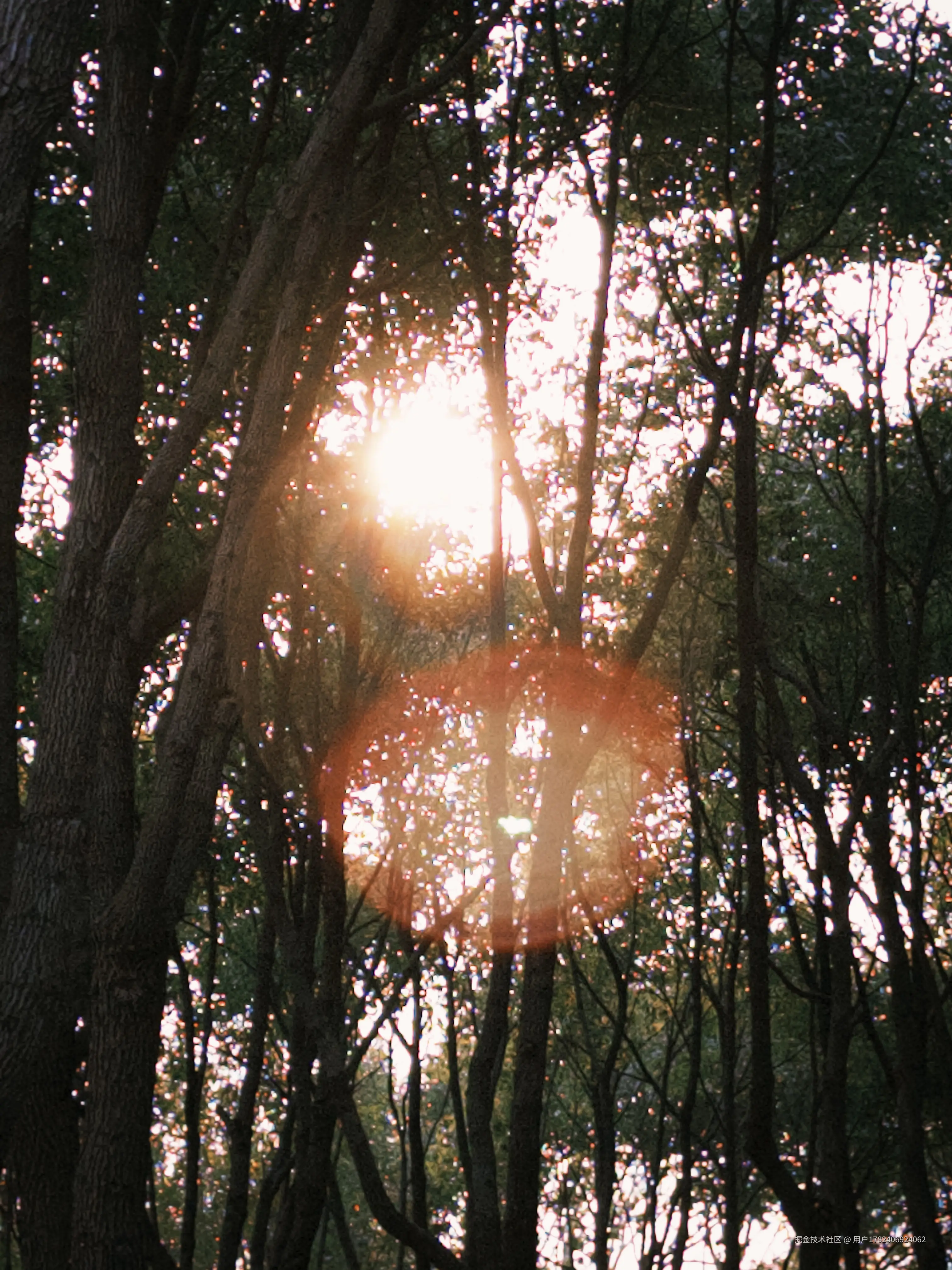 用户1782406924062于2025-01-22 13:49发布的图片