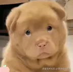 情迷曼哈顿丶于2024-08-14 17:13发布的图片