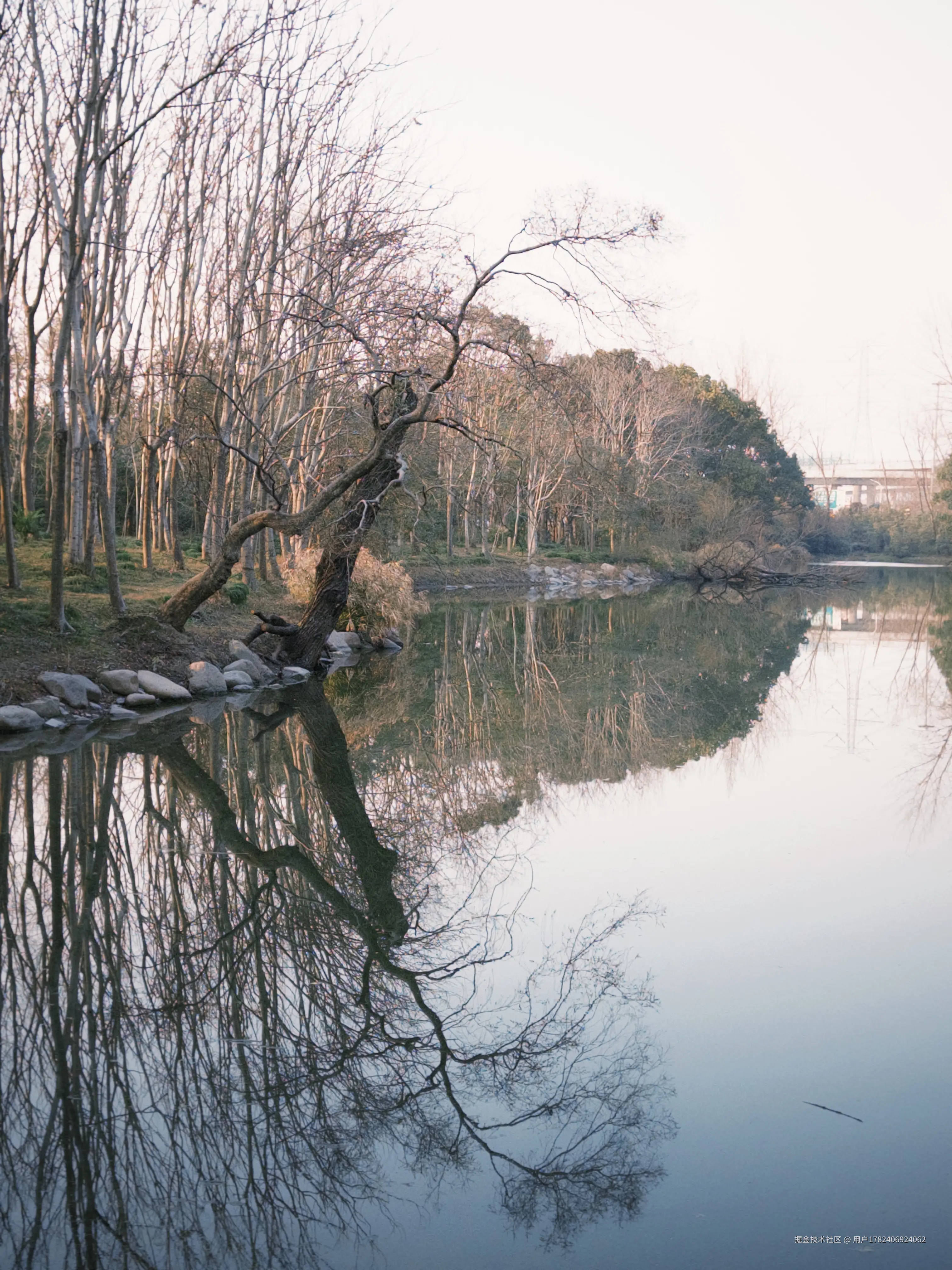 用户1782406924062于2025-01-22 13:49发布的图片